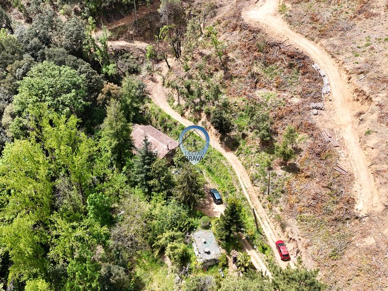 Foto 090dc82f-81bb-4600-8ce7-21557b5a8ae4. Masía  en venta , girona – 12.700 m² de terreno privado y agua propia en Arbúcies