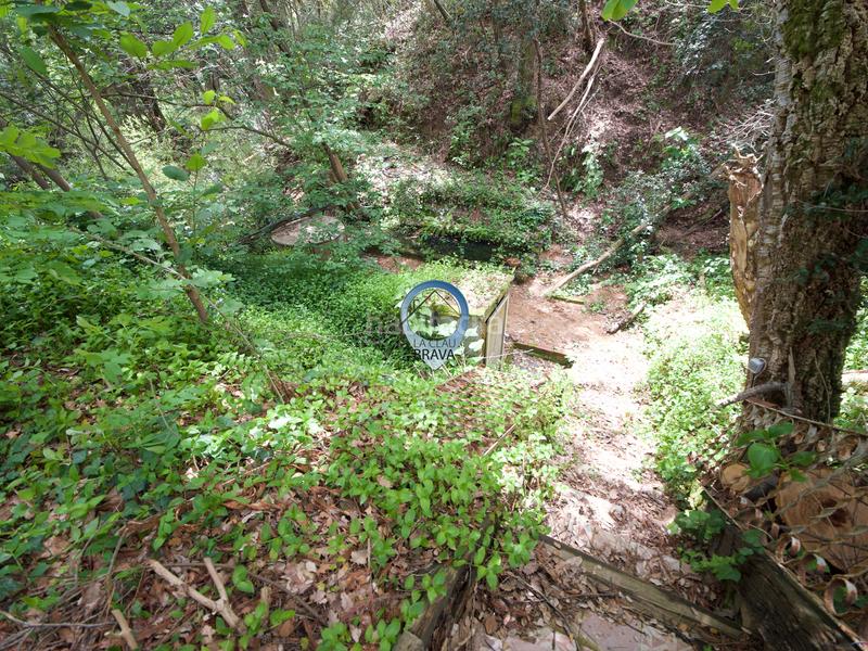 Foto 7573f9ce-3015-45fe-8271-8f0cc0eccba2. Masía  en venta , girona – 12.700 m² de terreno privado y agua propia en Arbúcies