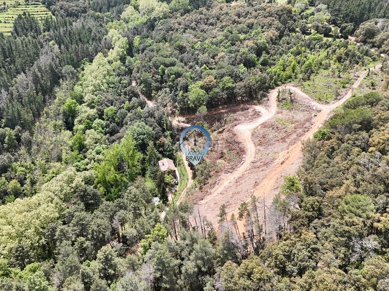 Foto ba27b662-d460-4c53-ac83-10364a67bc33. Masía  en venta , girona – 12.700 m² de terreno privado y agua propia en Arbúcies