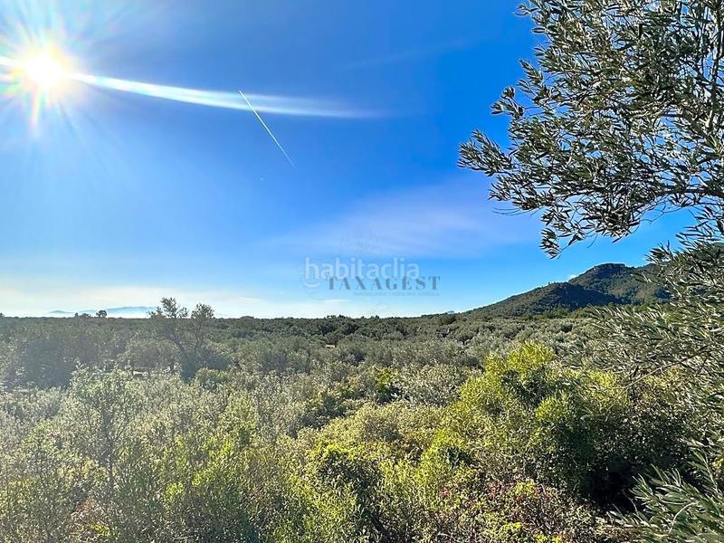 Foto 1b15274a-85a5-42d7-acf6-9171ab0a51a1. Mas avec parking dans Jesús - Els Reguers Tortosa