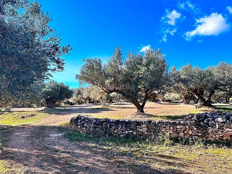 Foto 701e85b4-59e3-4a04-a7e2-b1613be28663. Mas avec parking dans Jesús - Els Reguers Tortosa
