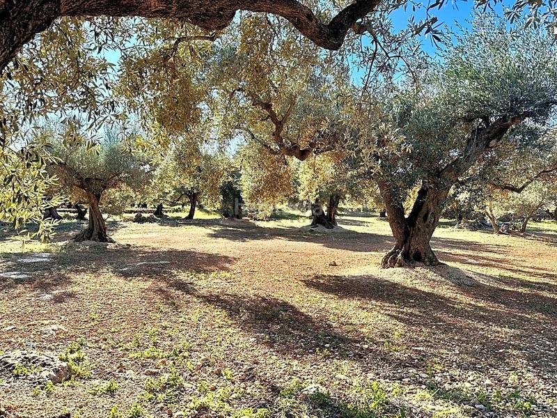 Foto ae7fd4f5-840a-4f5a-9996-4b6e1d32a9dd. Mas avec parking dans Jesús - Els Reguers Tortosa