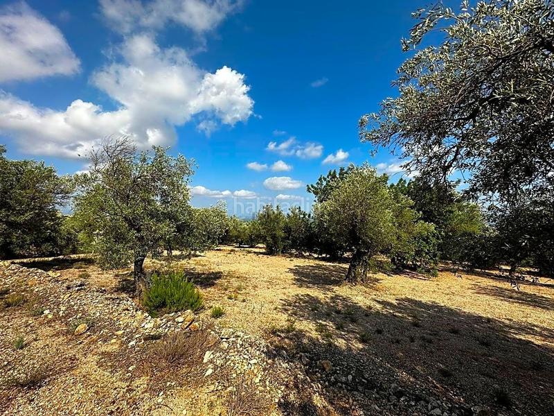 Foto 0d099a0e-6a6c-42d1-83cf-f58a80189d8b. Propriété dans Mas de Barberans