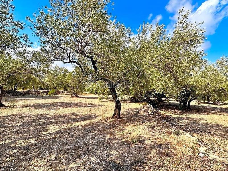 Foto 68308acb-6bff-4183-841c-05dbdce7b2a9. Propriété dans Mas de Barberans