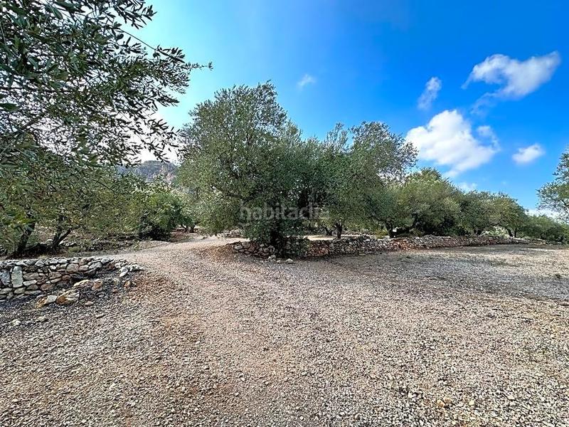 Foto ae71da5b-88da-493c-b79f-a807841caab5. Propriété dans Mas de Barberans