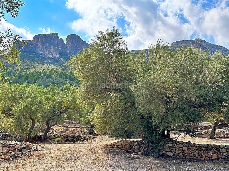 Foto cd578fba-274b-4e2c-8dab-b1548ff6d6c0. Propriété dans Mas de Barberans