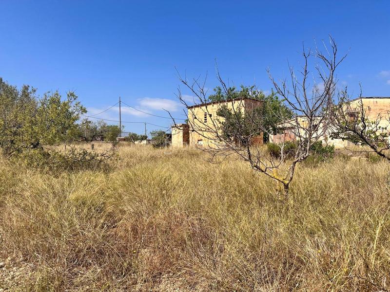 Foto 3b34101a-7b5f-4cce-a5f3-412243c7179d. Residential plot in Centre Tortosa