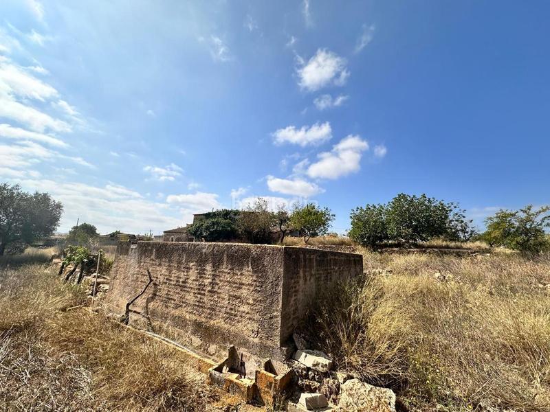 Foto 75976699-7659-400f-aeff-69adb0fb03e6. Residential plot in Centre Tortosa