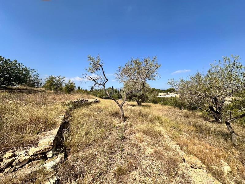 Foto 9e1bf5b8-9d85-4b00-8ca3-7a7b4f8f1223. Residential plot in Centre Tortosa