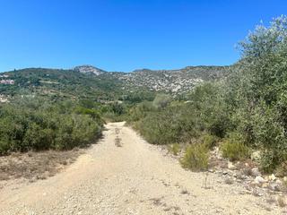 Terreny residencial  Polígono 6 parcela 126. Gran oportunidad en mas de barberans finca rústica con 40.954 m