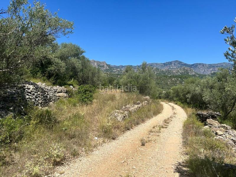 Foto 257a237f-2f51-4d2e-aa31-34bf36831ba0. Terrain résidentiel dans Mas de Barberans