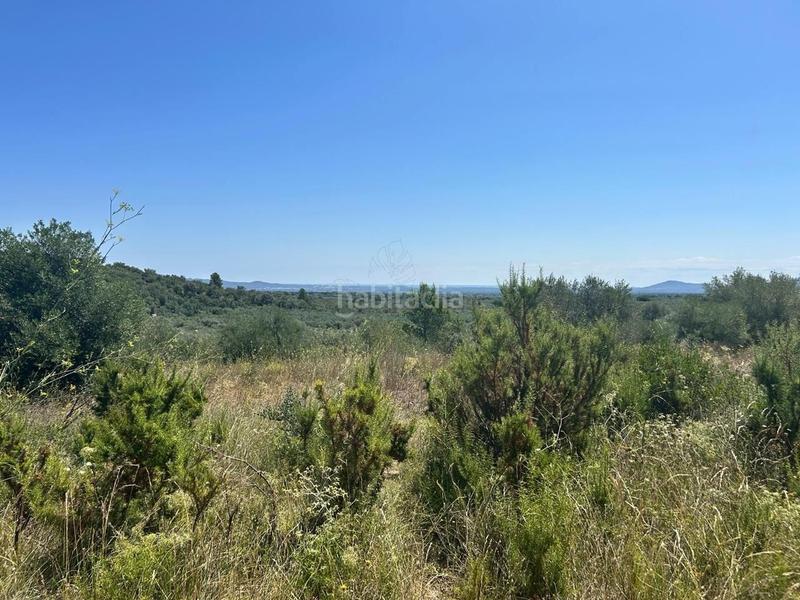 Foto 51c84ee8-cbcd-4149-a518-c66c9619cb08. Terrain résidentiel dans Mas de Barberans