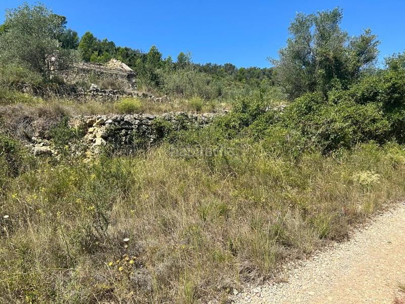 Foto b7771bc5-329c-4870-84d0-fbfea6601ffa. Terrain résidentiel dans Mas de Barberans