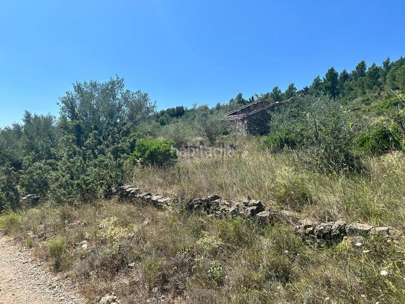 Foto c65821c9-e42e-414a-95f9-d7bd15b441a8. Terrain résidentiel dans Mas de Barberans