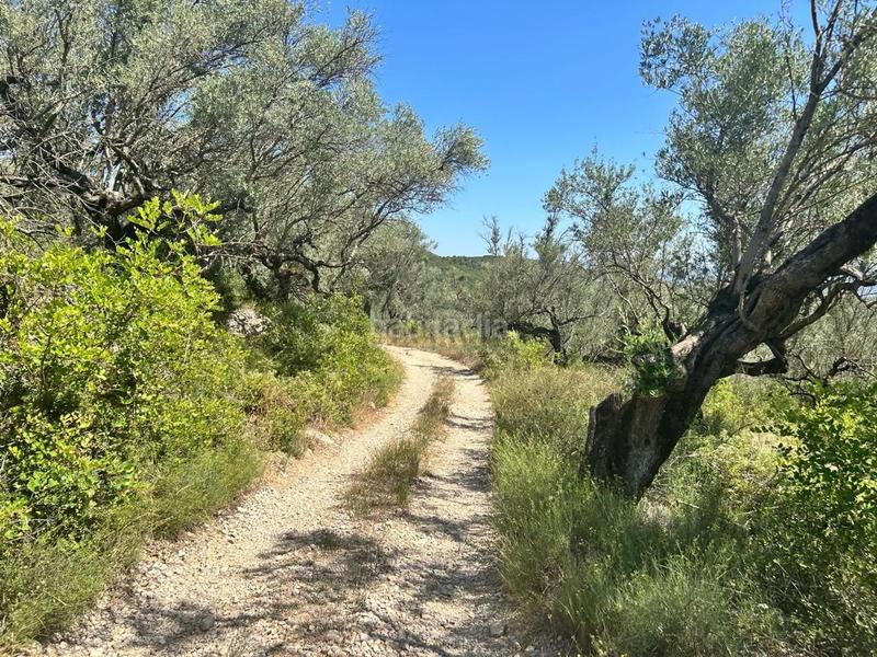 Foto ea4e885d-a38b-46b0-8956-f00d3dfd2592. Terrain résidentiel dans Mas de Barberans