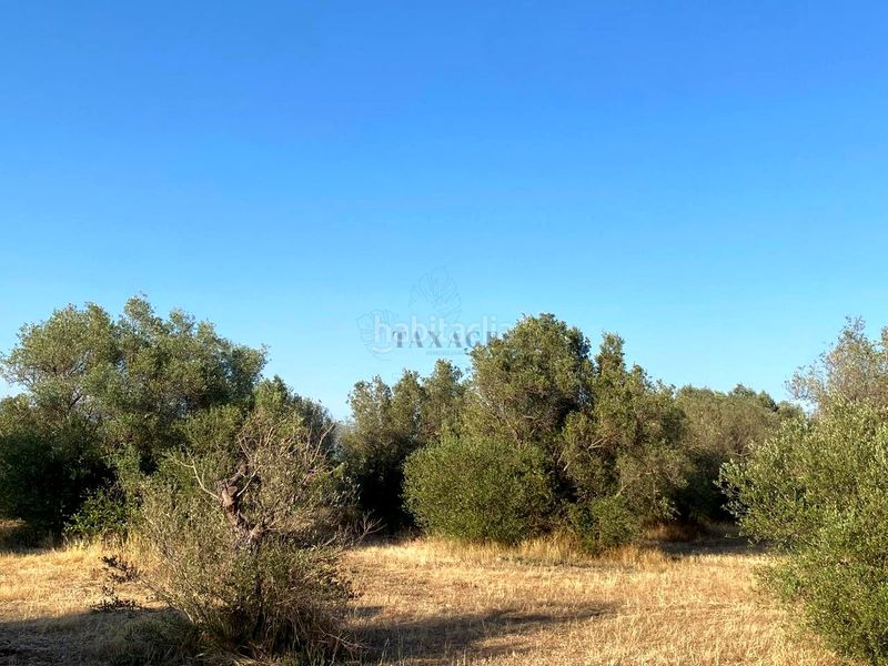 Foto 39b3a0ba-50b2-4e86-b70b-61d51112434f. Finca rústica a Aldover