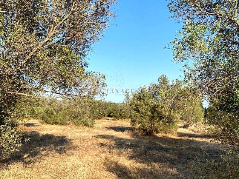 Foto 4b20a110-ea6f-438f-8952-f3f78be9220e. Finca rústica a Aldover