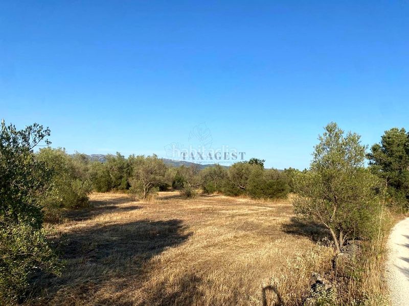 Foto 4ca4f9ce-8e1a-4812-8a51-8a854478e497. Finca rústica a Aldover