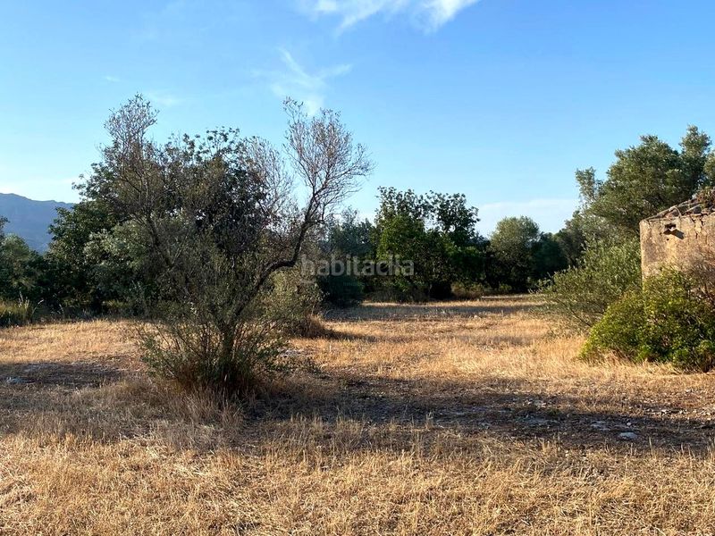 Foto 924a5458-5486-4007-8815-6acc8d1434f3. Finca rústica a Aldover