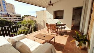 Rent Apartment in El Terreno