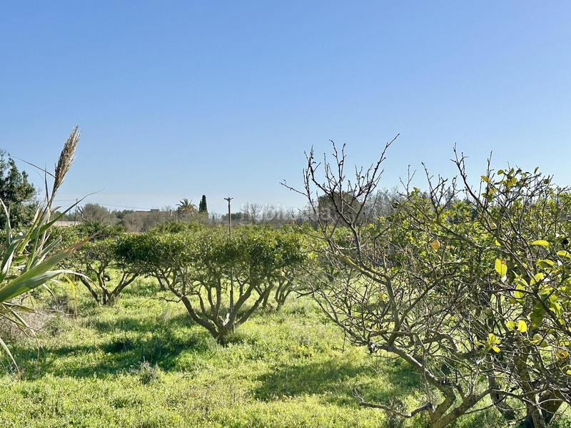 Foto c29bb5f4-9d09-41c7-8e6d-9550a7151fd0. Casa in Centro Inca