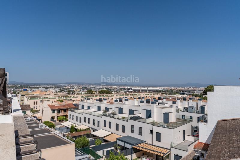 Foto 85374820-a626-45ca-8ee8-55d5e759acd6. Flat in Cort Palma de Mallorca