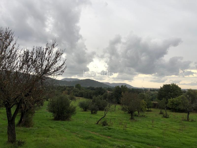 Foto 0d2ac2ab-debb-4377-b05e-6f01bfcca9b4. Terreny residencial a Campanet