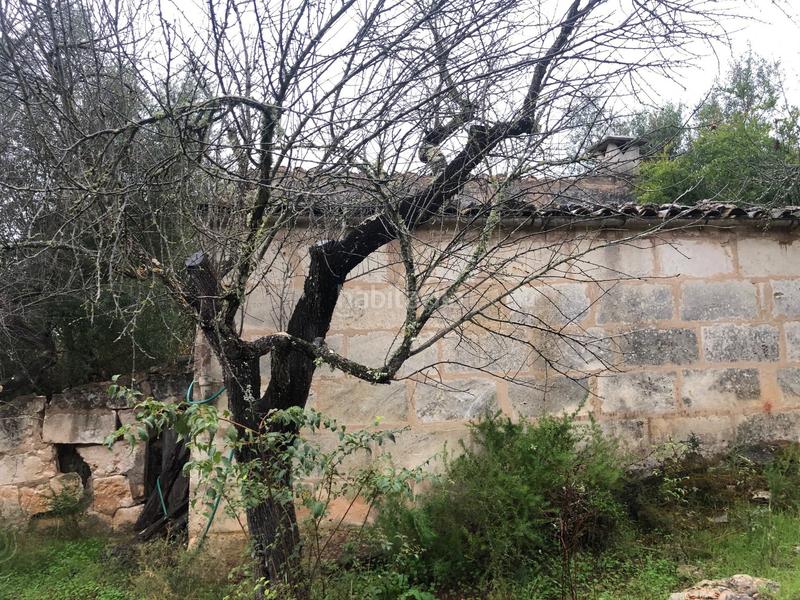 Foto 4ccbe4be-5cc0-44c3-b3a7-acd13b60ec23. Terreny residencial a Campanet