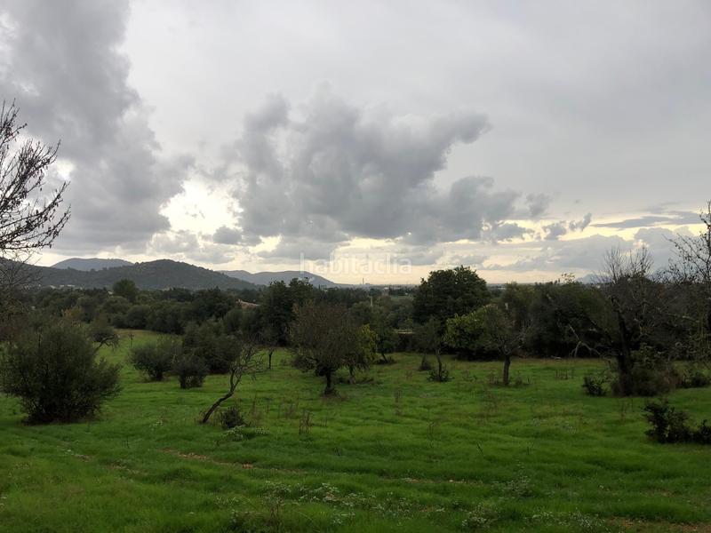 Foto e5e8717b-9391-4361-b78d-55e0bdb7f5cf. Terreny residencial a Campanet