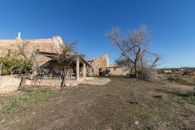 Foto 41049dc3-d5ea-4bd1-8e8e-88c96d6095b8. Masía finca rural histórica con potencial agrícola y de desarrollo en Palma de Mallorca