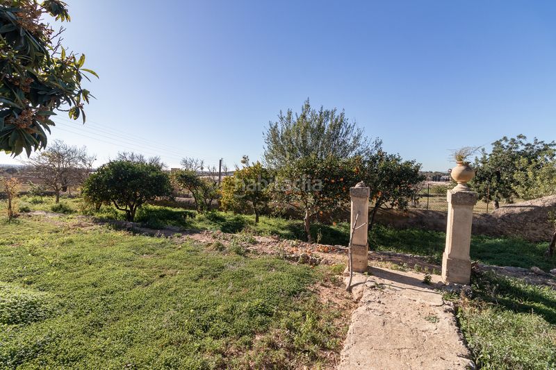 Foto 50a6be1b-b570-4033-80c6-519d61e46172. Masía finca rural histórica con potencial agrícola y de desarrollo en Palma de Mallorca