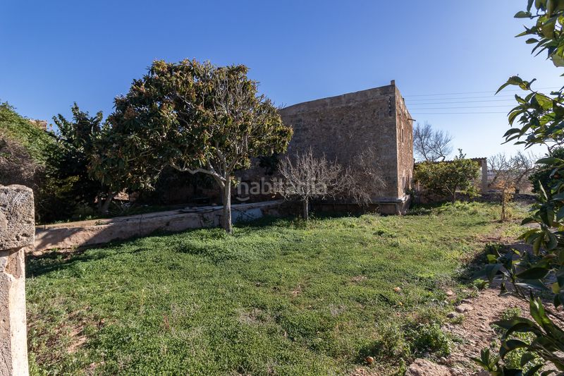 Foto 544786e1-47b7-4c9b-b1d6-e8d48e20ffdb. Masía finca rural histórica con potencial agrícola y de desarrollo en Palma de Mallorca