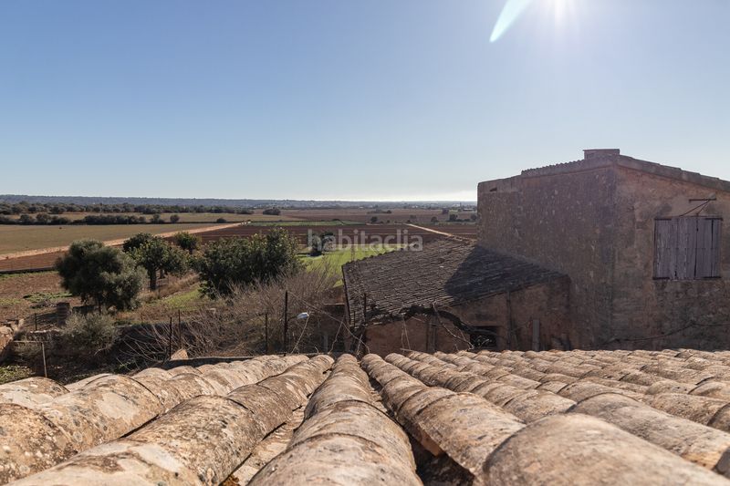 Foto 899fa315-f1ee-4bd5-a0bc-7d3661cfc3cb. Masía finca rural histórica con potencial agrícola y de desarrollo en Palma de Mallorca