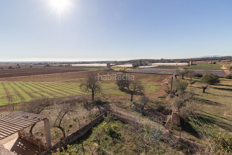 Foto 990563ed-6d94-4094-877b-6ba20e066cd3. Masía finca rural histórica con potencial agrícola y de desarrollo en Palma de Mallorca