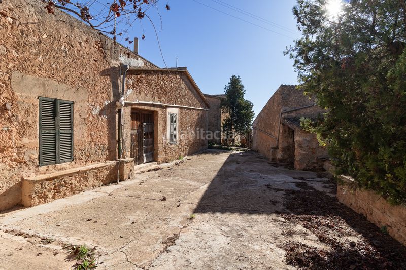 Foto a35c00da-b473-40de-a850-0c6153e4afe4. Masía finca rural histórica con potencial agrícola y de desarrollo en Palma de Mallorca