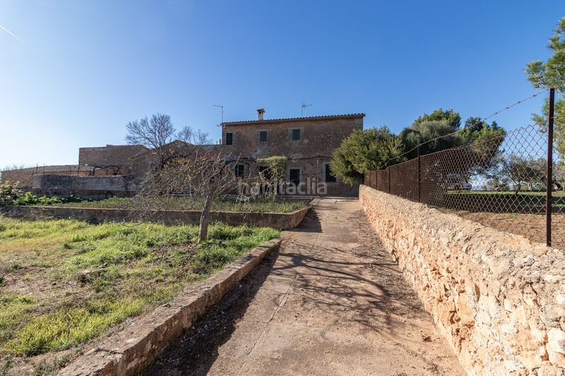 Foto c818c700-6b3d-431d-b43a-0846e9ab1ce2. Masía finca rural histórica con potencial agrícola y de desarrollo en Palma de Mallorca