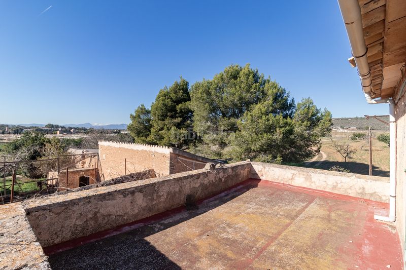 Foto ccbdef86-5c4e-4634-b11e-7a2fcd393d01. Masía finca rural histórica con potencial agrícola y de desarrollo en Palma de Mallorca