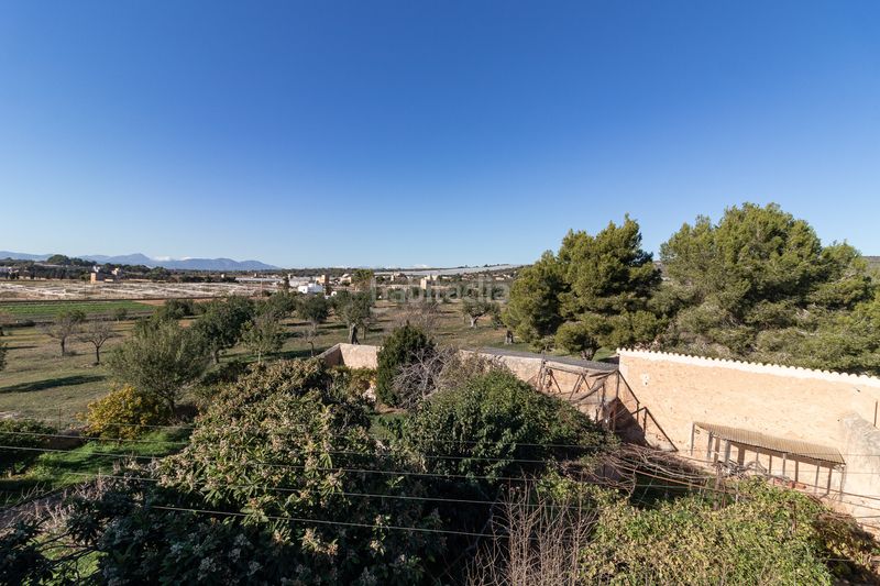 Foto d351deb5-7579-4316-a9c0-3a05ce69f004. Masía finca rural histórica con potencial agrícola y de desarrollo en Palma de Mallorca