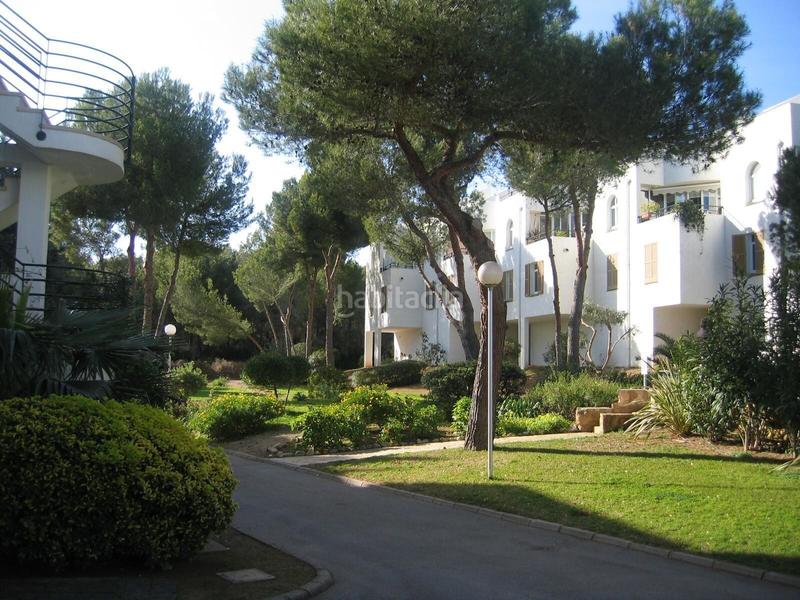 Foto 8c93e4fb-bb38-44cc-9fd3-5adf01694db3. Casa a schiera in Sol de Mallorca Calvià