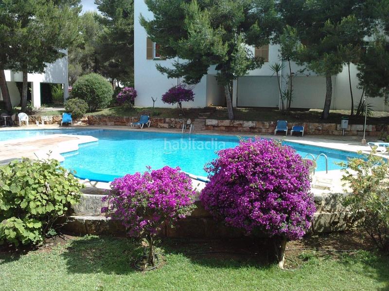 Foto cf30e008-3668-40dd-a985-3cddfeb80a5a. Casa a schiera in Sol de Mallorca Calvià