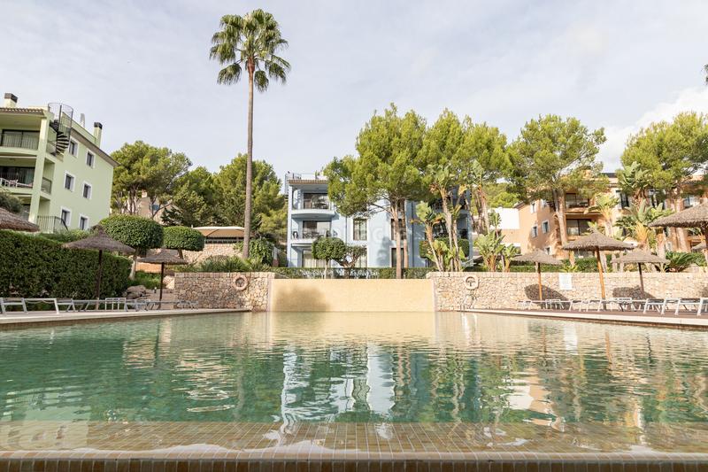 Foto 0135fa9c-c6cf-41fc-bdfa-f1321a060ae0. Planta baixa amb aparcament piscina a Andratx Andratx