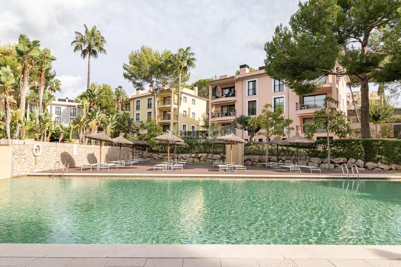 Foto 21435a8b-e11c-4a40-9636-229304263e8e. Planta baixa amb aparcament piscina a Andratx Andratx