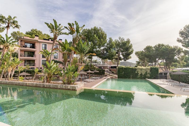Foto 9e5f30d4-00c1-4ea0-9f47-fad4b948830f. Planta baixa amb aparcament piscina a Andratx Andratx
