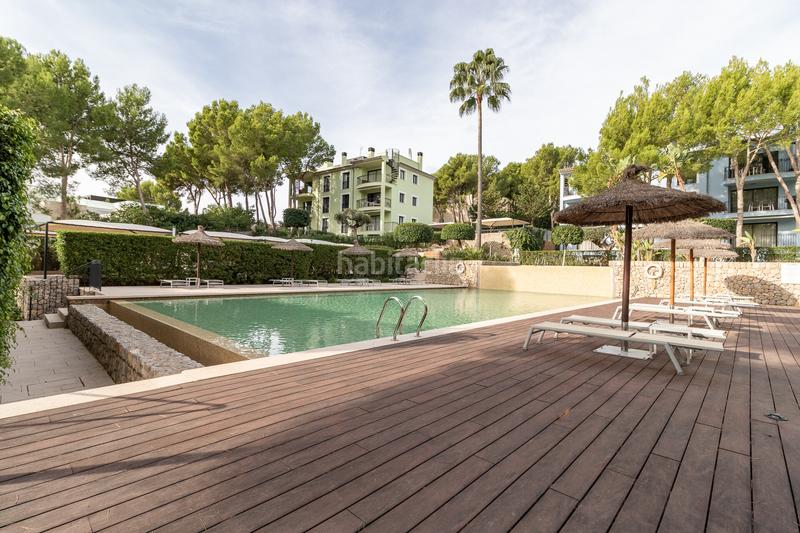 Foto f15df65d-150a-42b4-b5e9-e8ca4293b5f6. Planta baixa amb aparcament piscina a Andratx Andratx