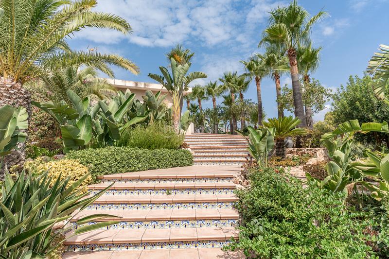 Foto 1bebe507-044f-411f-b28b-ab53b24da344. Casa a Peguera Calvià