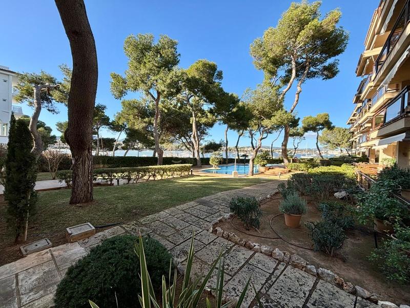 Foto eda96464-90de-4cee-a9a9-b751f0ca7d0c. Affitto appartamento in Portocolom Felanitx