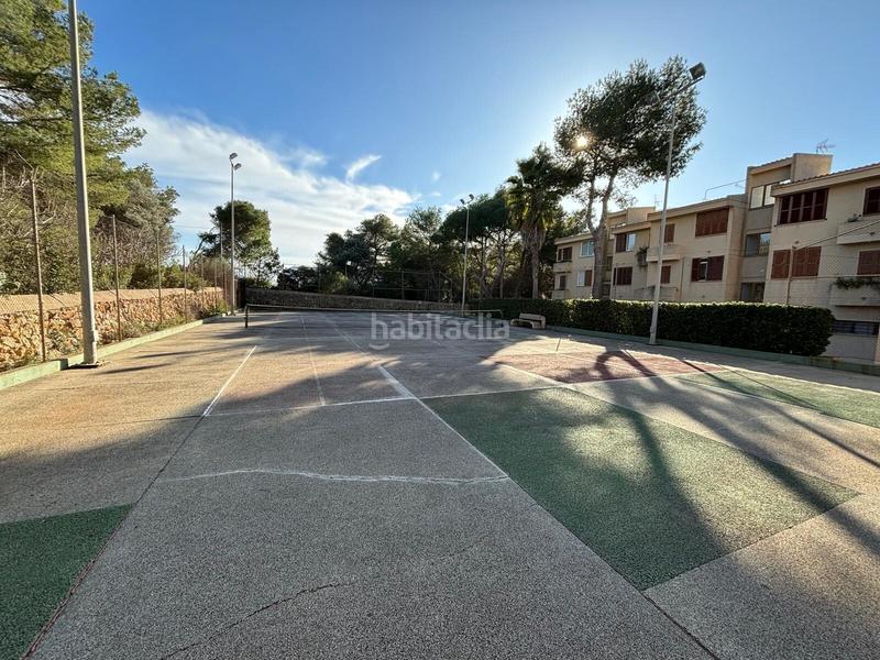 Foto 85559d74-2d06-4b7b-9d02-075fc5f19f77. Lloguer pis a Portocolom Felanitx