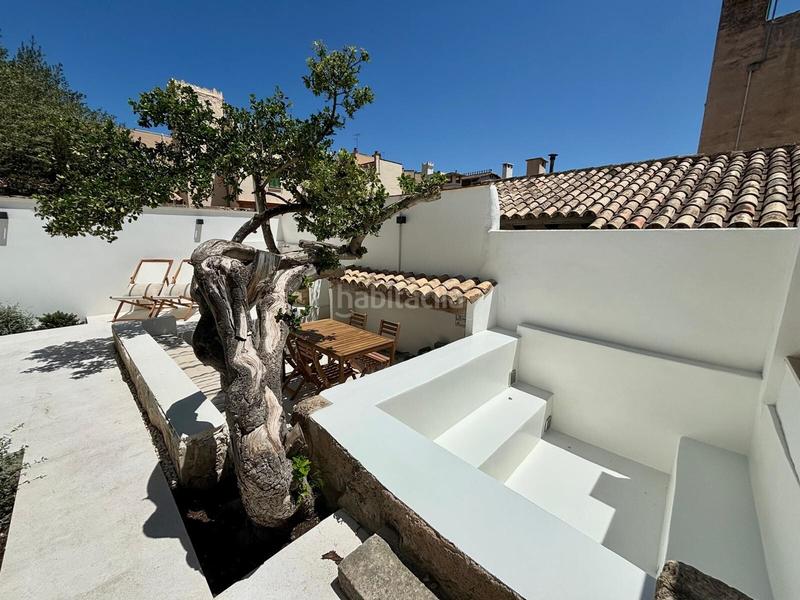 Foto 1a1ec8a9-880a-4758-8bf9-9506292d899a. Rent ground floor in El Terreno Palma de Mallorca