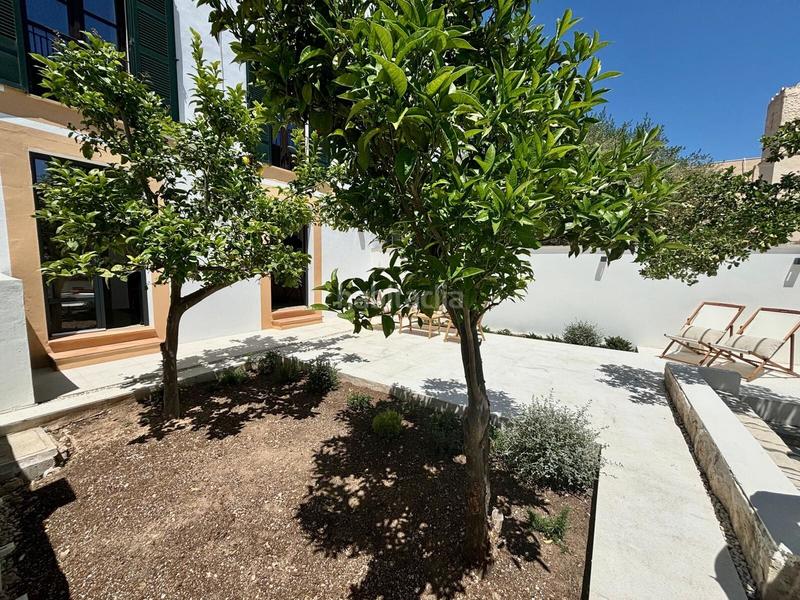 Foto 55dfe509-08f7-4295-9841-a8879f41dd91. Rent ground floor in El Terreno Palma de Mallorca