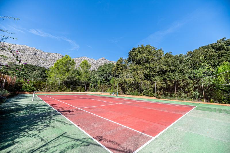 Foto e999b2f1-d14b-45ee-b5bf-cfa0ab342481. Alquiler masía preciosa finca mallorquina con pensión, piscina y jardín contrato temporal en Pollença